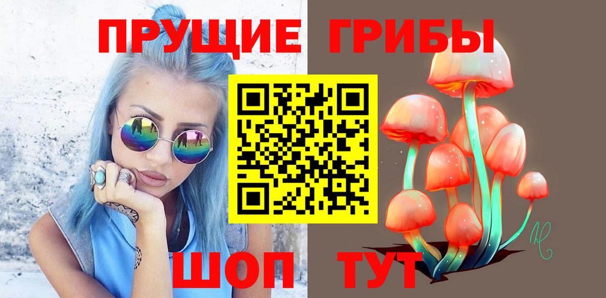 Галлюциногенные грибы MAGIC MUSHROOMS  Вход с VPN  Псилоцибиновые грибы мухоморы  Чехов 